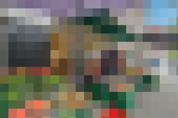 Olympiaweg 32 2 Amsterdam thumbnail 21