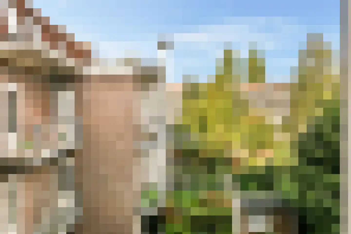 Olympiaweg 34 2 Amsterdam thumbnail 11