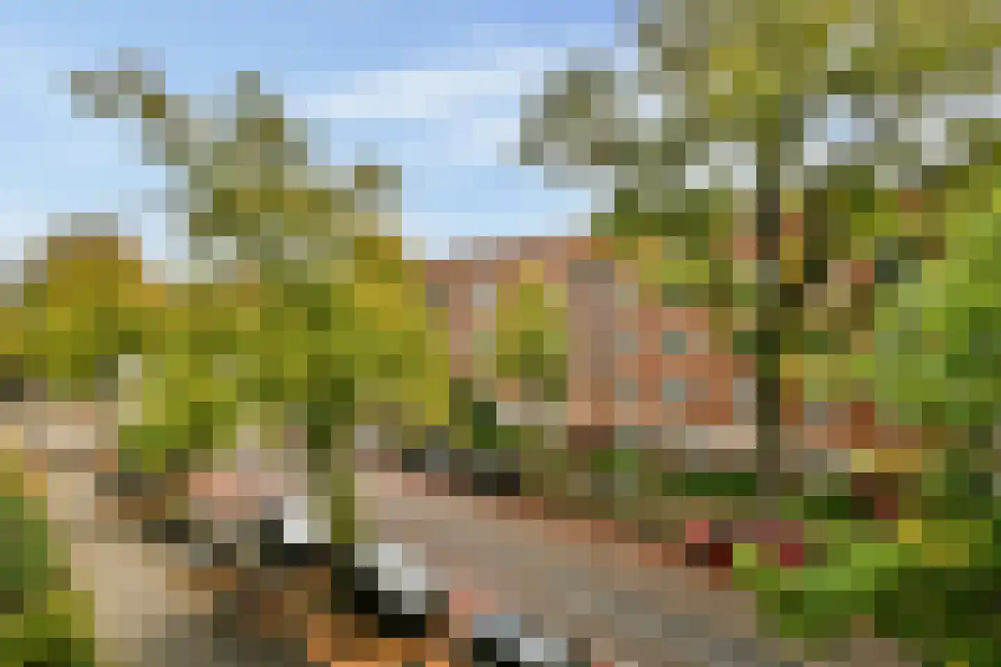 Olympiaweg 34 2 Amsterdam thumbnail 19