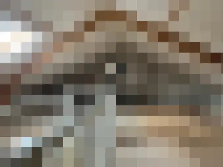 Olympiaweg 36 Wervershoof thumbnail 18