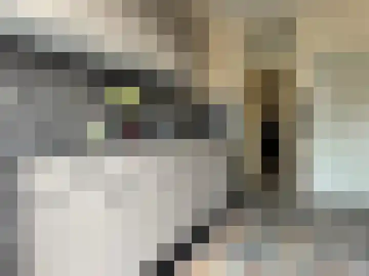 Olympiaweg 36 Wervershoof thumbnail 6