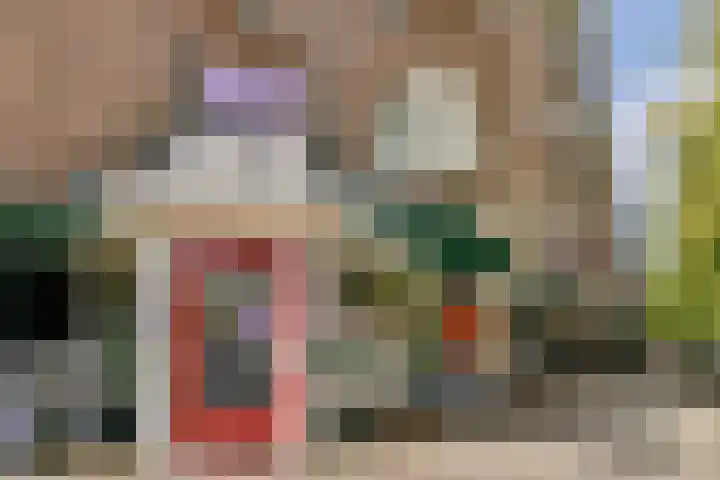 Olympiaweg 38 3 Amsterdam thumbnail 21