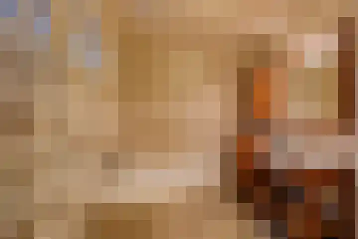Olympiaweg 38 Hillegom thumbnail 39
