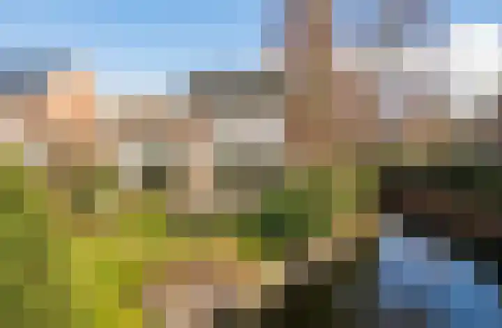 Olympiaweg 38 Hillegom thumbnail 43