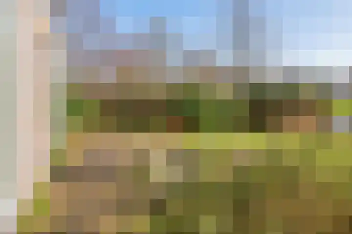 Olympiaweg 38 Hillegom thumbnail 44