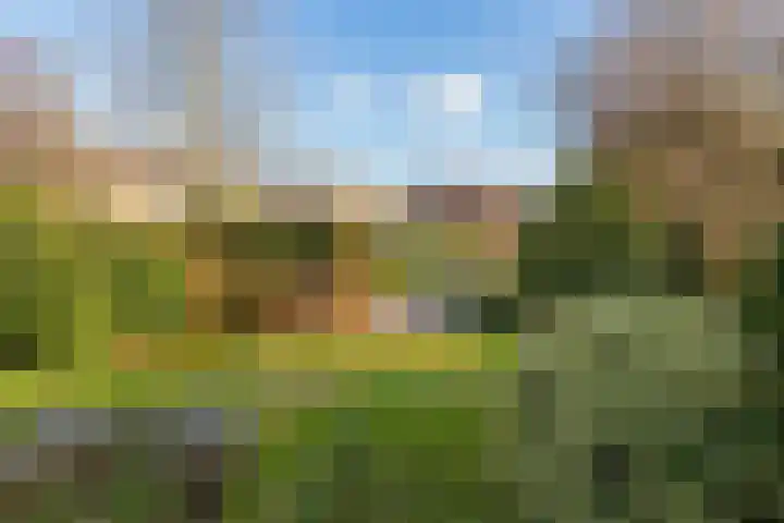 Olympiaweg 38 Hillegom thumbnail 45
