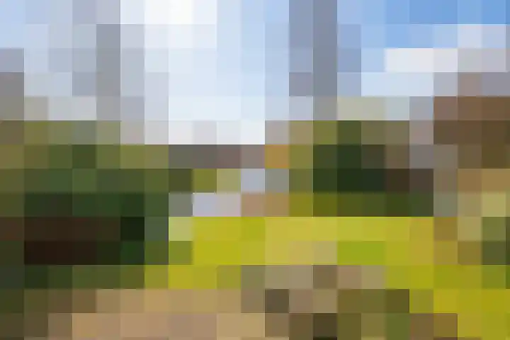 Olympiaweg 38 Hillegom thumbnail 46