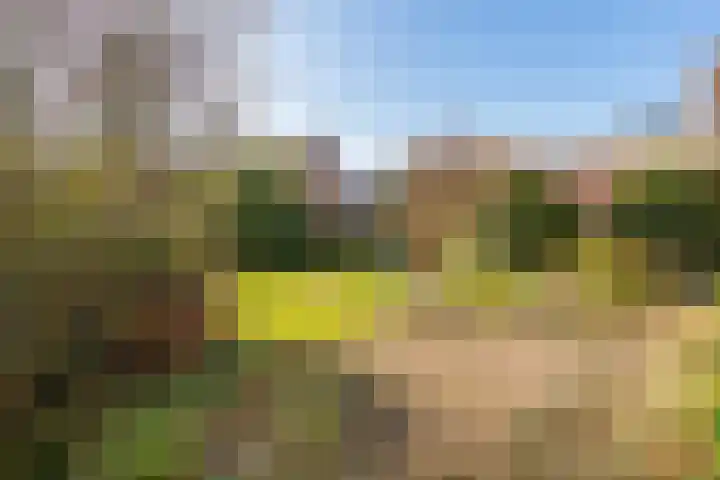 Olympiaweg 38 Hillegom thumbnail 47