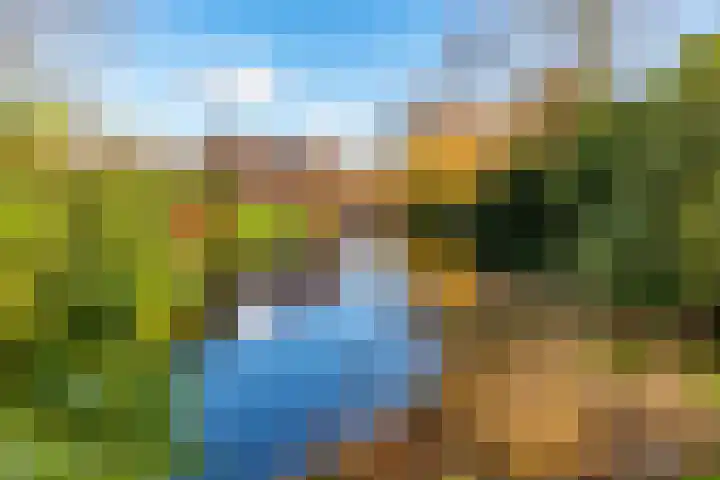 Olympiaweg 38 Hillegom thumbnail 49