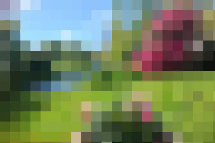 Olympiaweg 38 Hillegom thumbnail 50
