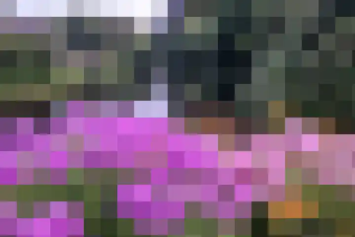 Olympiaweg 38 Hillegom thumbnail 51
