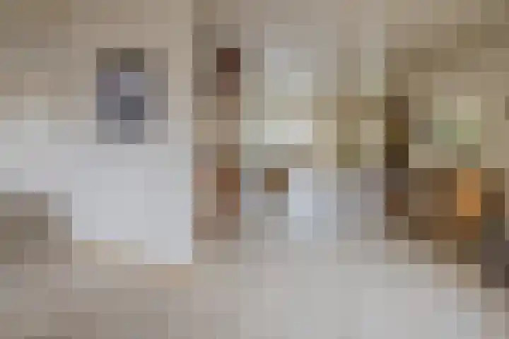 Olympiaweg 38 Hillegom thumbnail 8