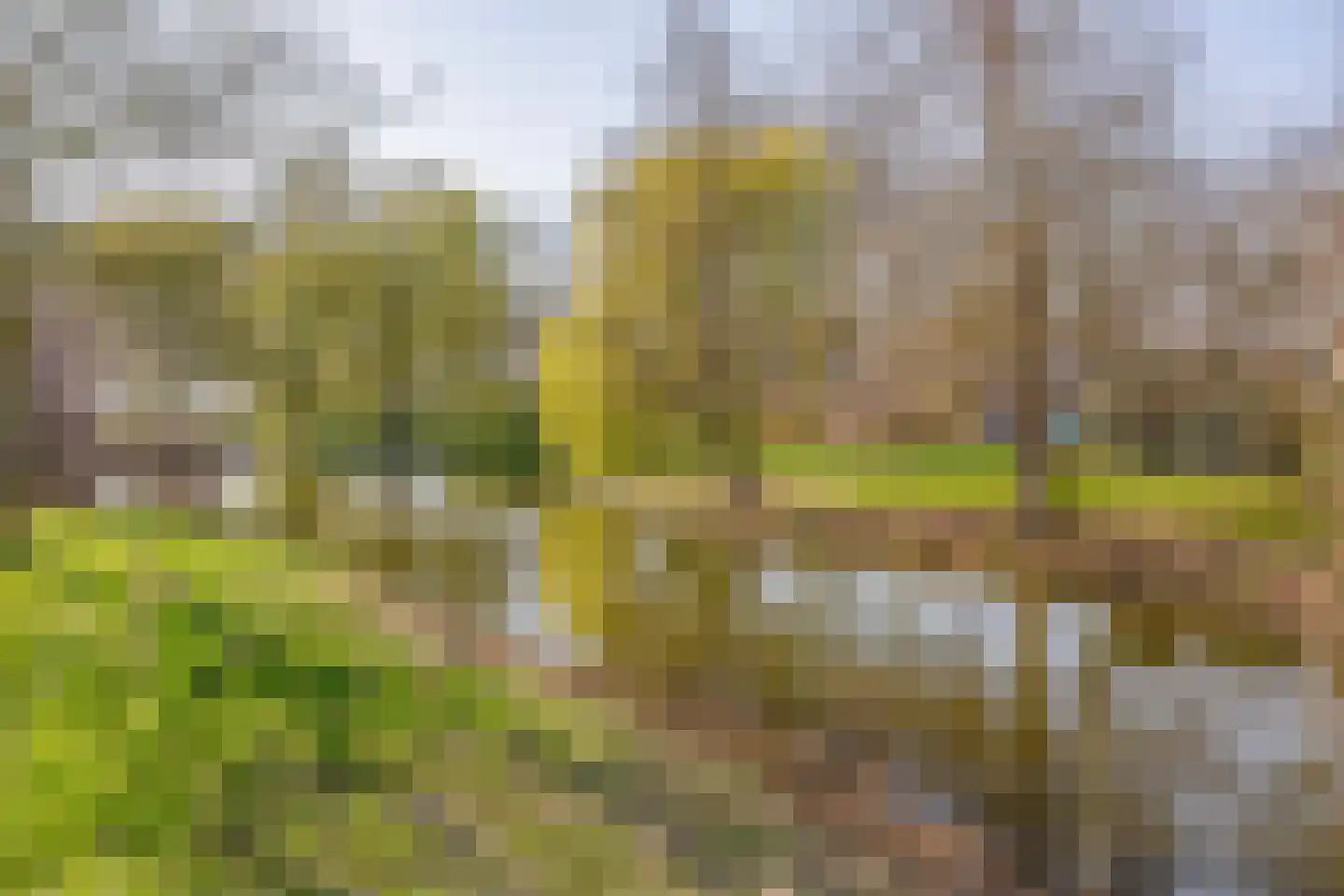 Olympiaweg 39 Sommelsdijk thumbnail 26