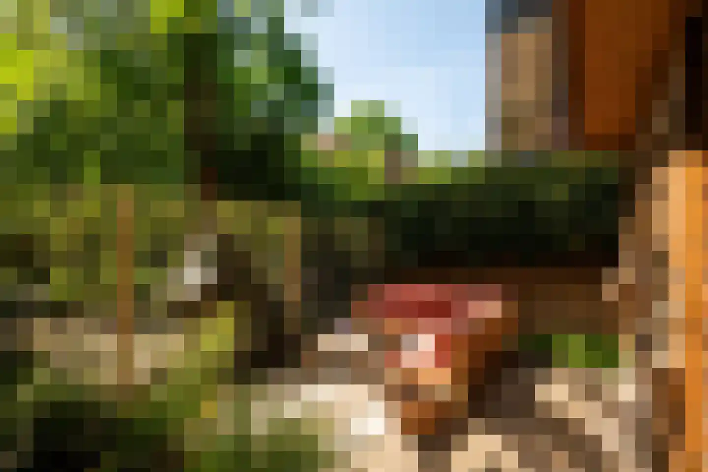 Olympiaweg 40 1 Amsterdam thumbnail 21