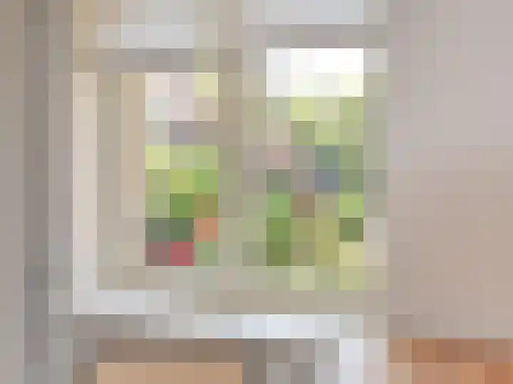 Olympiaweg 40 3 Amsterdam thumbnail 8
