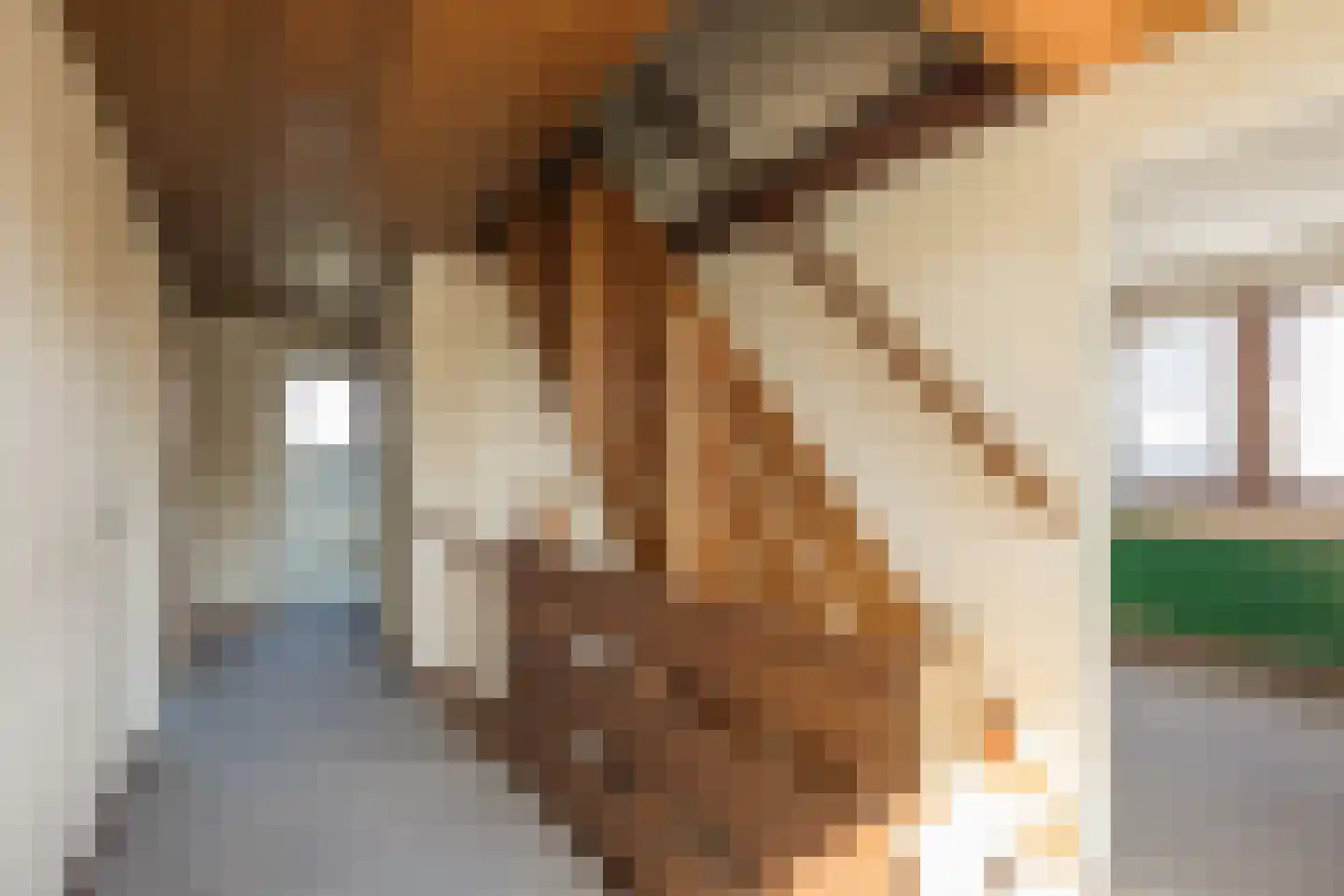 Olympiaweg 43 Hillegom thumbnail 33