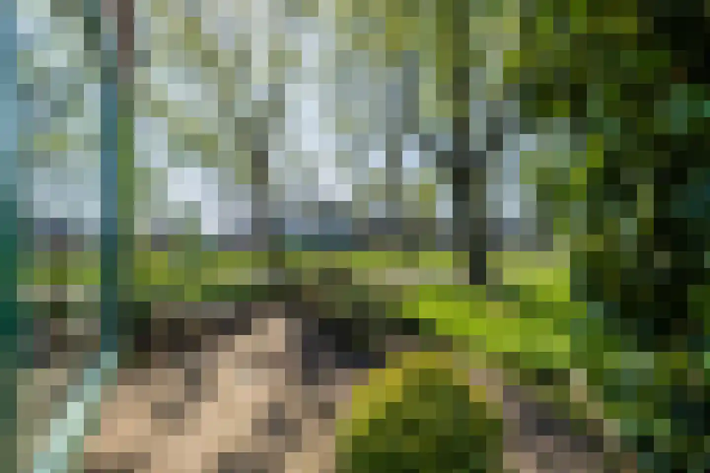 Olympiaweg 43 Hillegom thumbnail 61