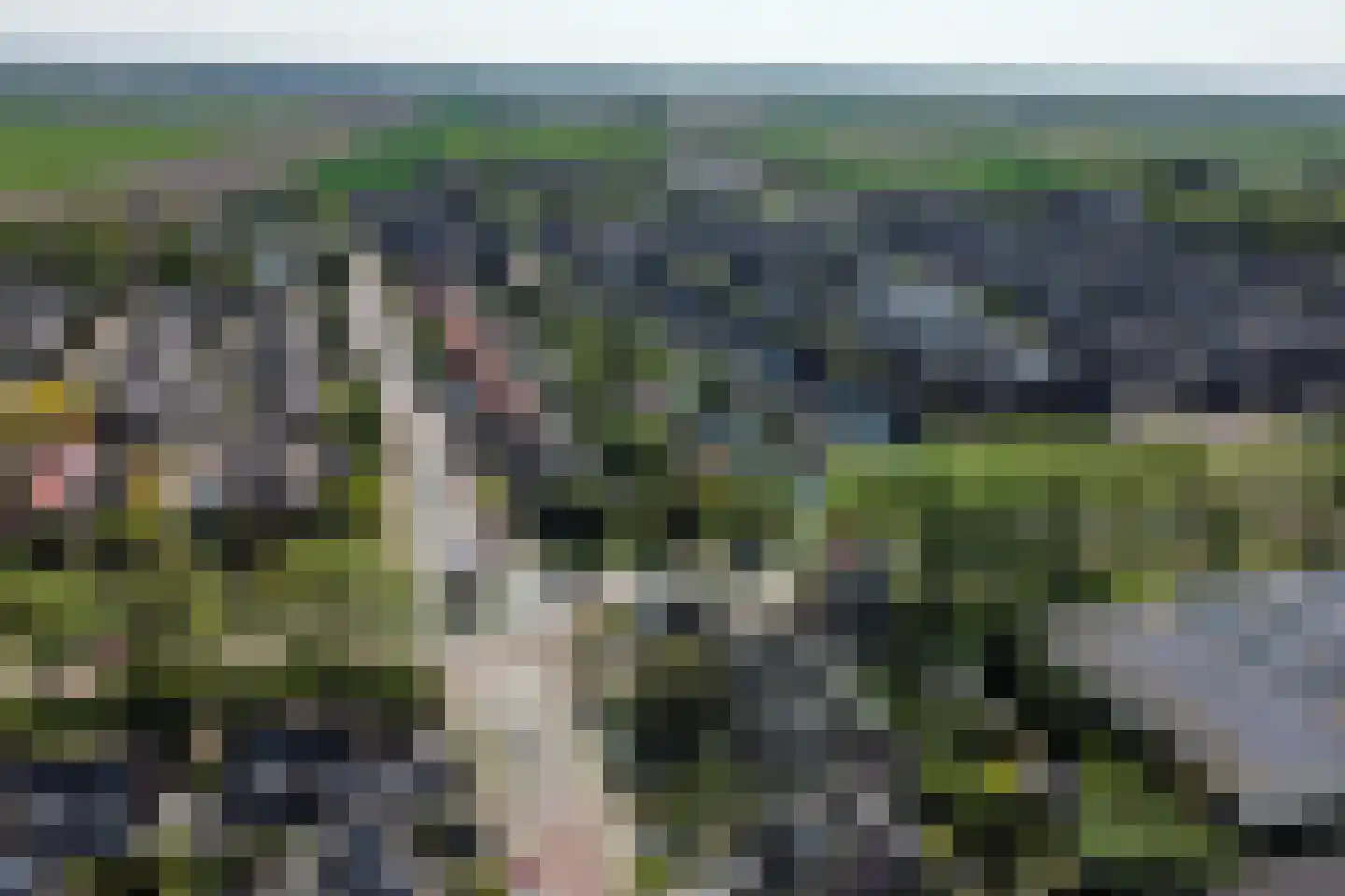 Olympiaweg 43 Hillegom thumbnail 75