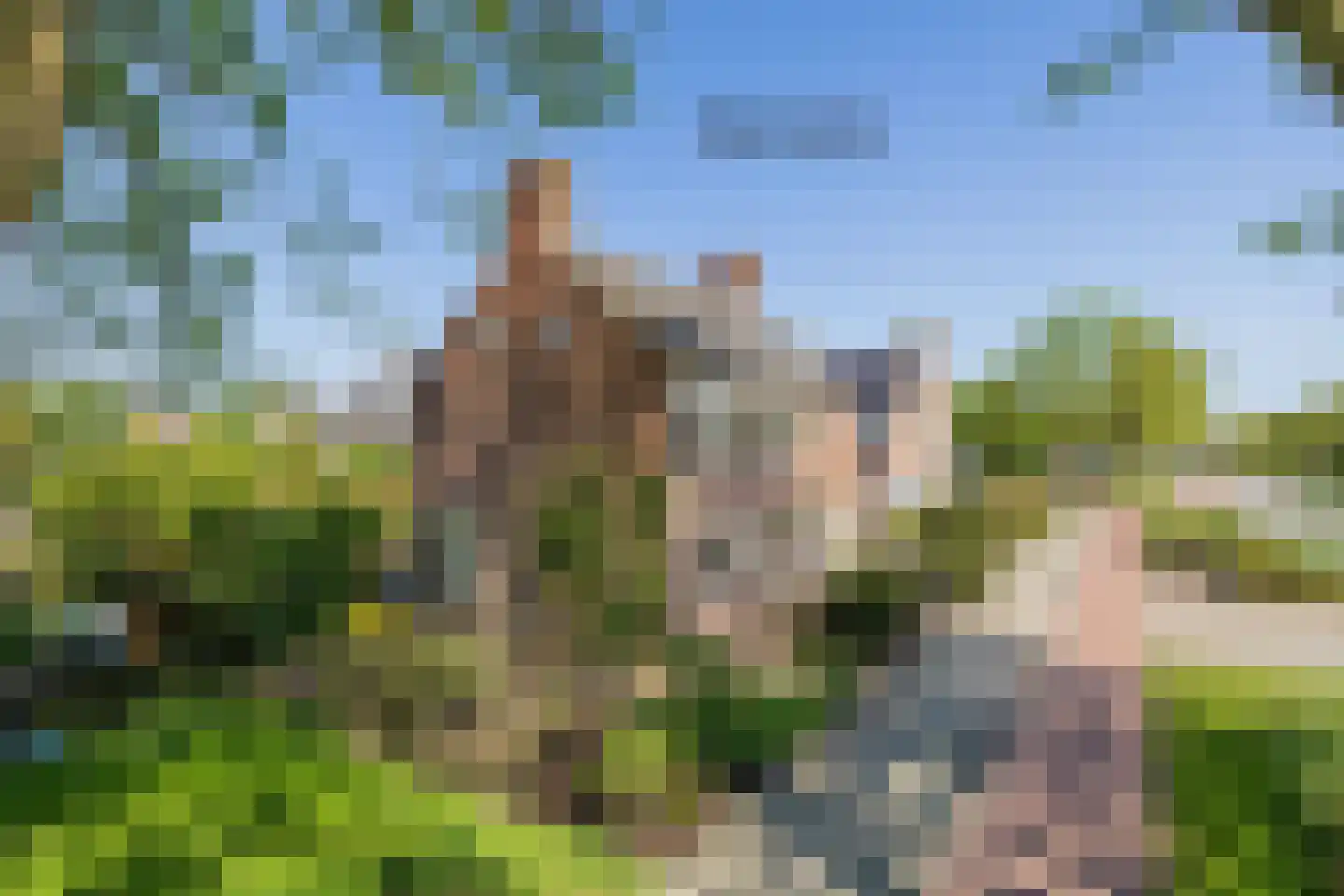 Olympiaweg 43 Hillegom thumbnail 77