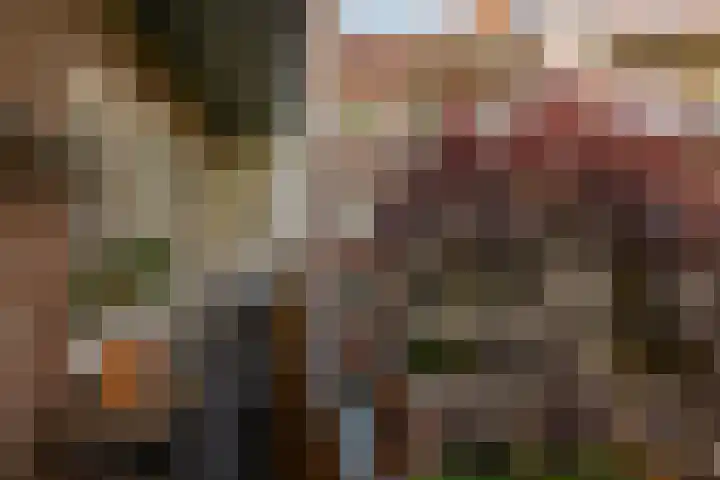 Olympiaweg 46 3 Amsterdam thumbnail 15