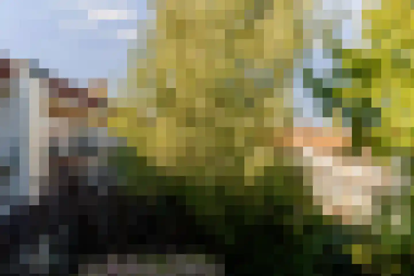 Olympiaweg 46 3 Amsterdam thumbnail 18