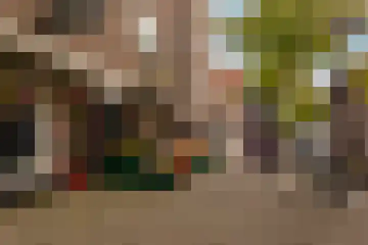 Olympiaweg 46 3 Amsterdam thumbnail 22