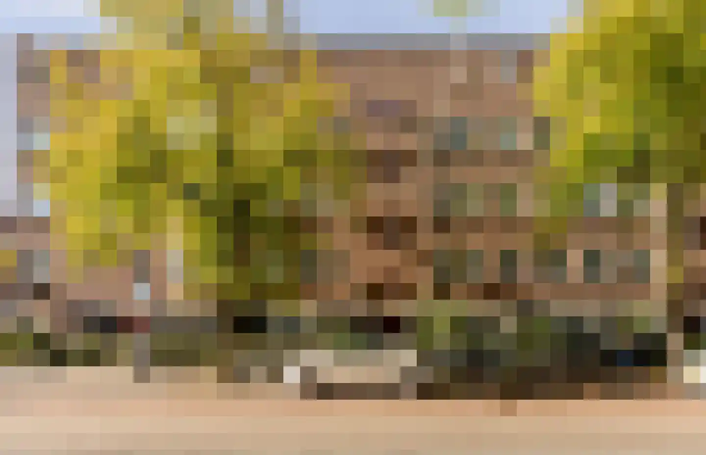 Olympiaweg 46 3 Amsterdam thumbnail 27