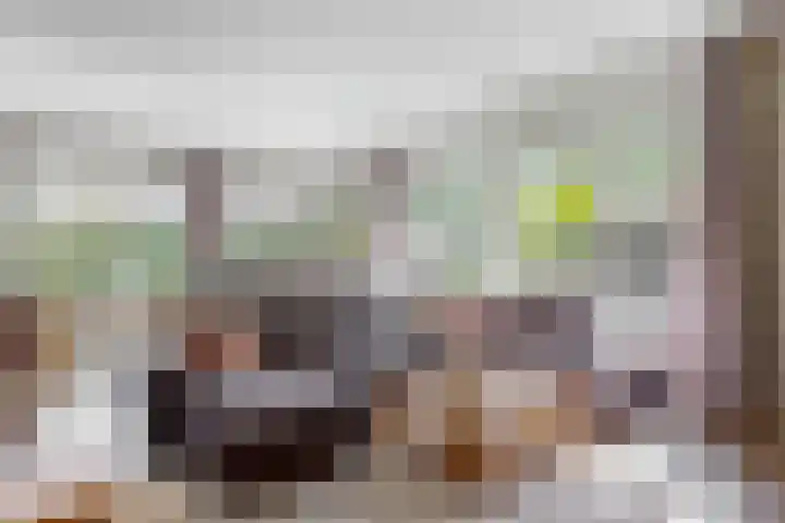 Olympiaweg 48 A Wervershoof thumbnail 12