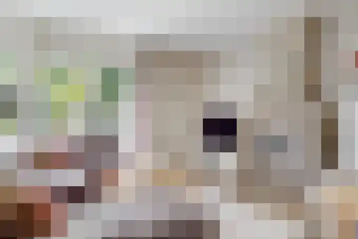 Olympiaweg 48 A Wervershoof thumbnail 13