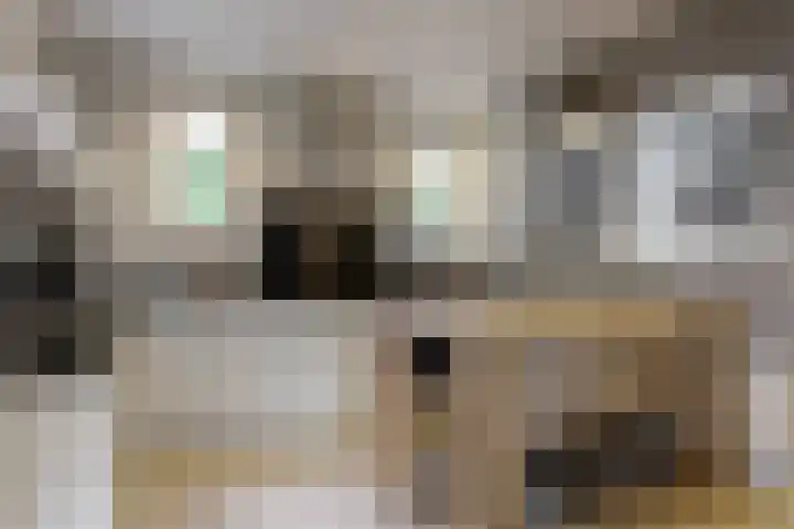 Olympiaweg 48 A Wervershoof thumbnail 17
