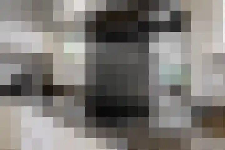 Olympiaweg 48 A Wervershoof thumbnail 19