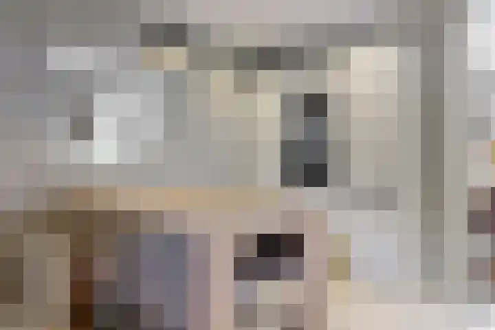 Olympiaweg 48 A Wervershoof thumbnail 20