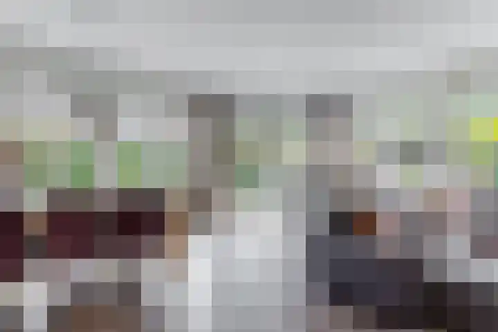 Olympiaweg 48 A Wervershoof thumbnail 21