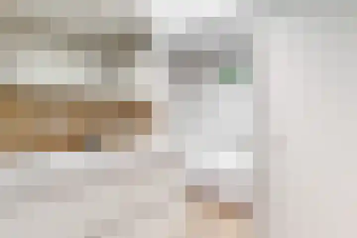 Olympiaweg 48 A Wervershoof thumbnail 31