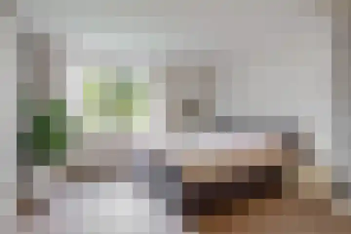 Olympiaweg 48 A Wervershoof thumbnail 35