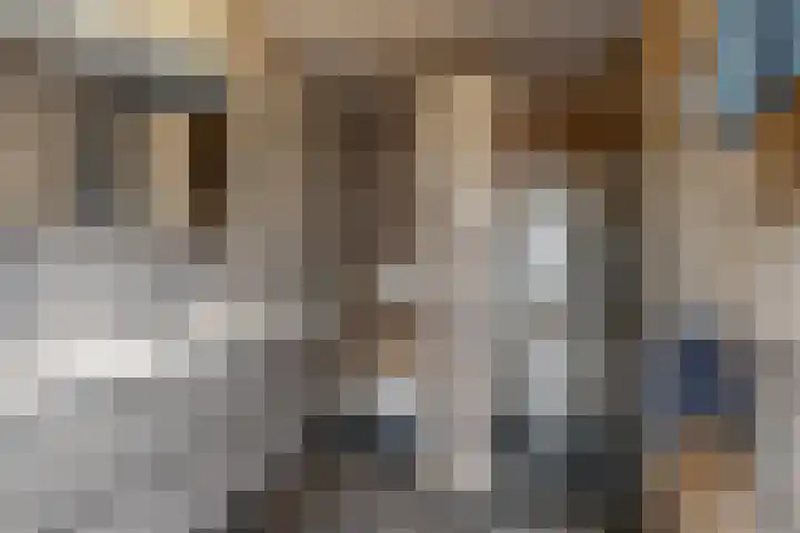 Olympiaweg 48 A Wervershoof thumbnail 45
