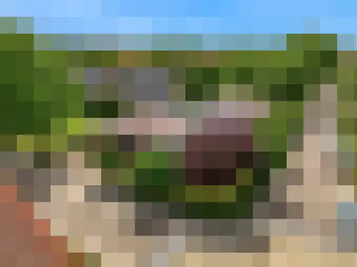 Olympiaweg 48 A Wervershoof thumbnail 5
