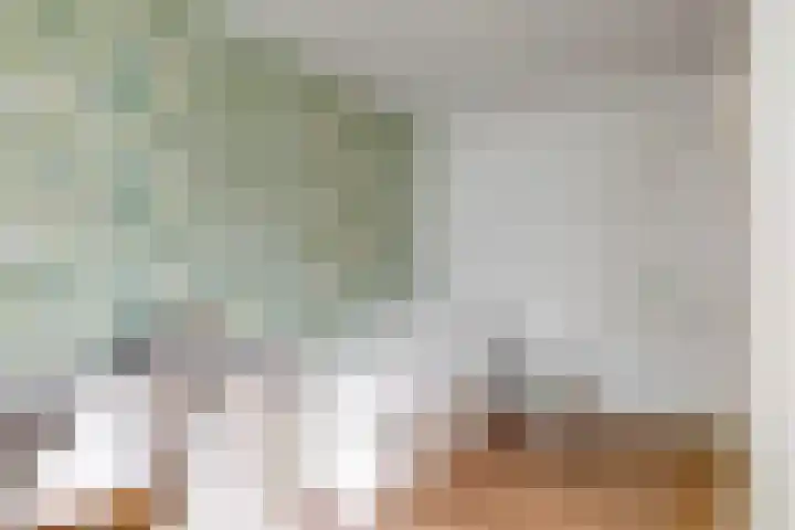 Olympiaweg 48 A Wervershoof thumbnail 50