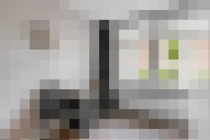 Olympiaweg 48 A Wervershoof thumbnail 51