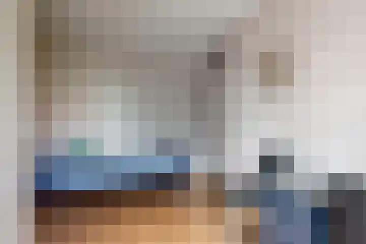 Olympiaweg 48 A Wervershoof thumbnail 53
