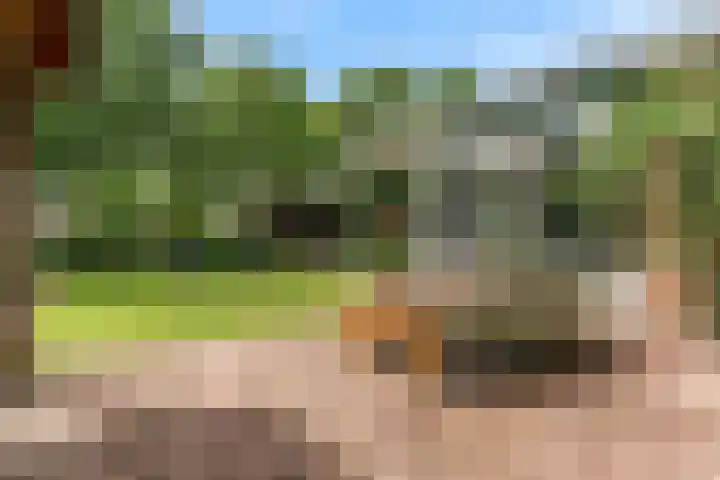 Olympiaweg 48 A Wervershoof thumbnail 60