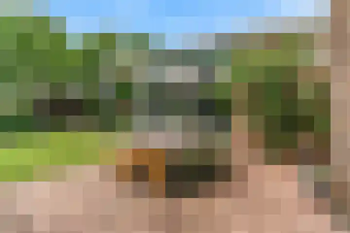 Olympiaweg 48 A Wervershoof thumbnail 61