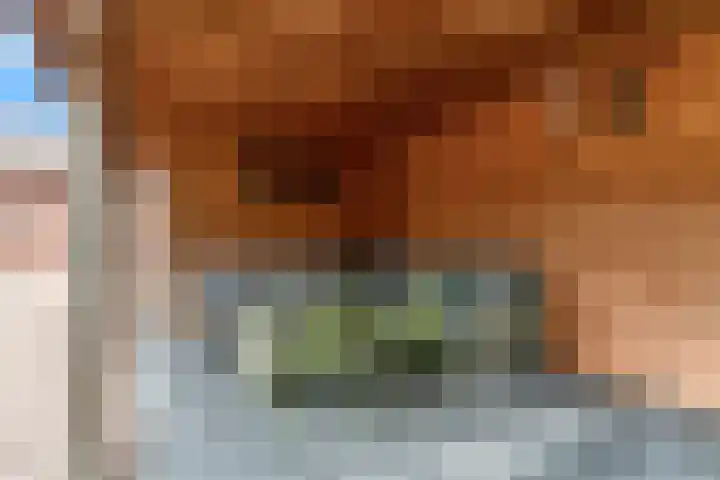 Olympiaweg 48 A Wervershoof thumbnail 63