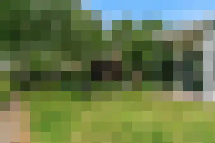 Olympiaweg 48 A Wervershoof thumbnail 64