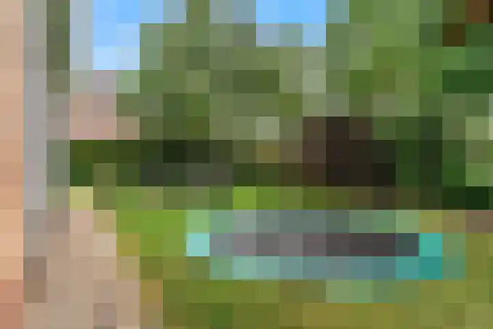 Olympiaweg 48 A Wervershoof thumbnail 66