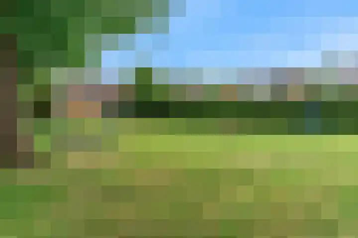 Olympiaweg 48 A Wervershoof thumbnail 67