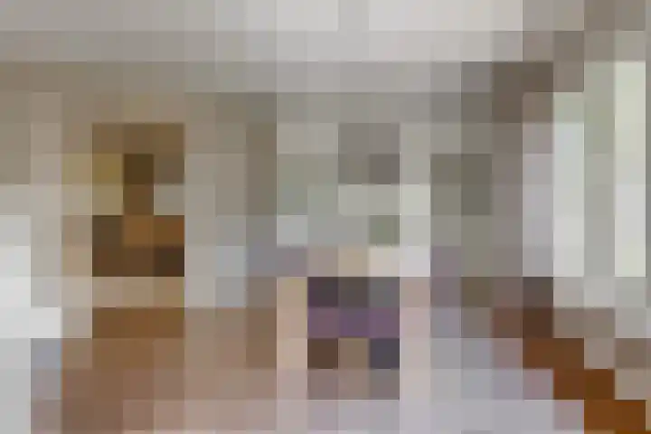 Olympiaweg 48 A Wervershoof thumbnail 9