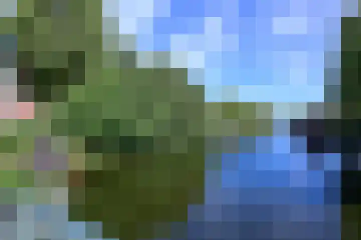 Olympiaweg 56 2 Amsterdam thumbnail 18