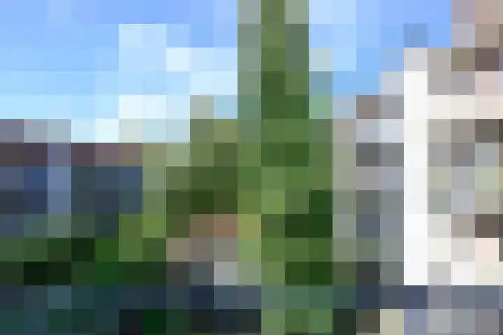 Olympiaweg 56 2 Amsterdam thumbnail 8