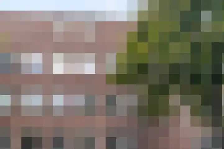 Olympiaweg 58 1 Amsterdam thumbnail 22